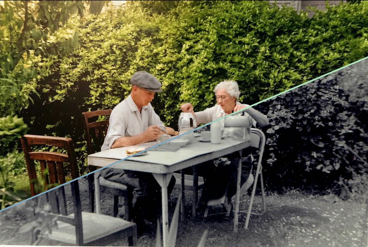 Colourization example